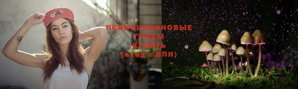 твердый Кодинск